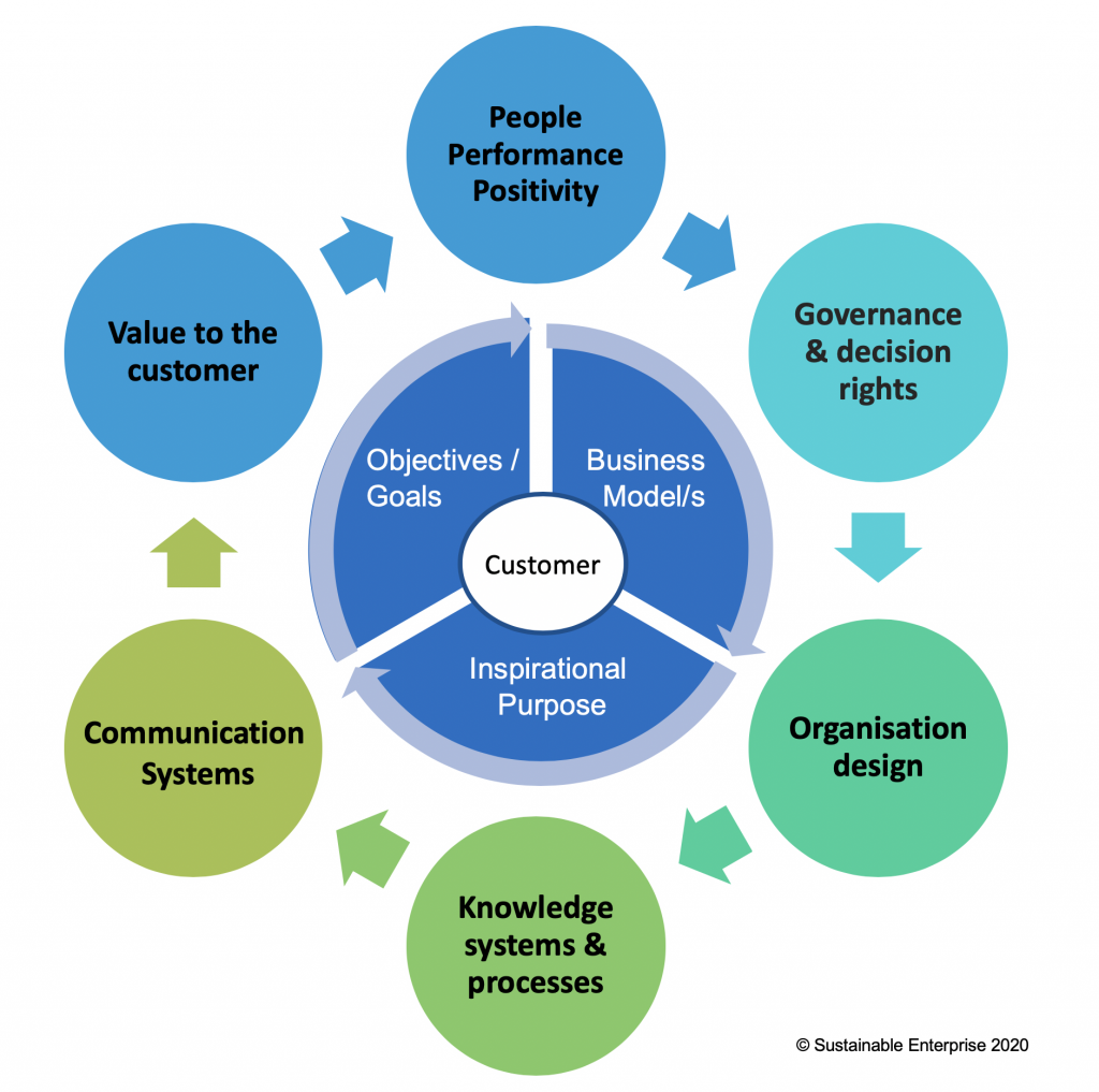 Model: Aligning Purpose, Business Strategy and Operating Models for Peak Performance.